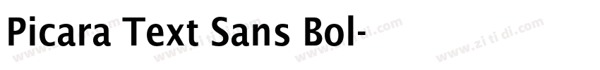 Picara Text Sans Bol字体转换